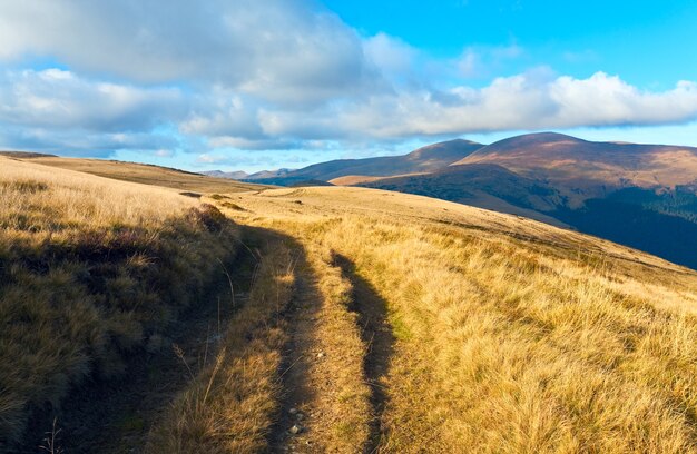 Herfst mistige bergzicht met landweg (Carpathian Mt's, Oekraïne).