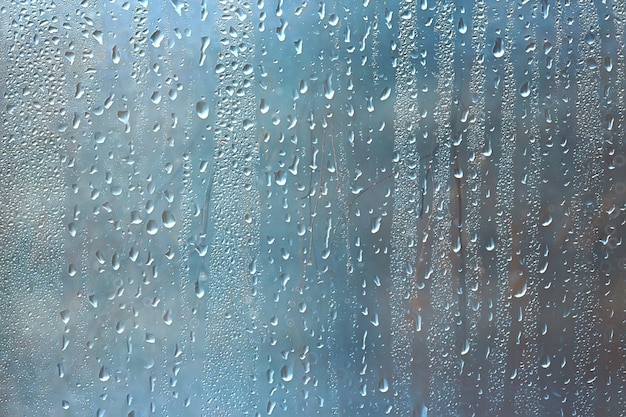 herfst natte glasachtergrond / herfsttakken buiten het raam, regen, nat weer, concept seizoensgebonden achtergrond