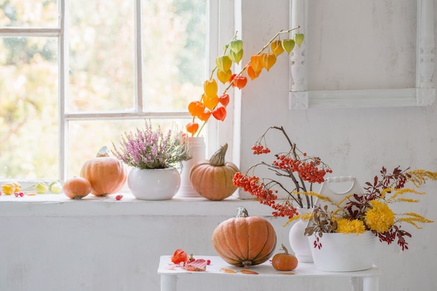 Herfst natuurlijk decor met pompoenen en lijsterbessen op witte achtergrond