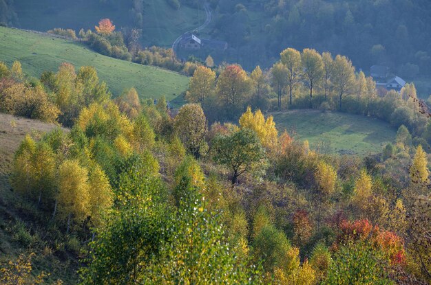 Herfst ochtend Karpaten rustige pittoreske scène Oekraïne Rustig reizen seizoensgebonden natuur en platteland schoonheid concept scène