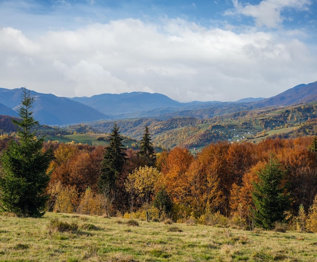 Herfst ochtend Karpaten rustige pittoreske scène Oekraïne Rustig reizen seizoensgebonden natuur en platteland schoonheid concept scène