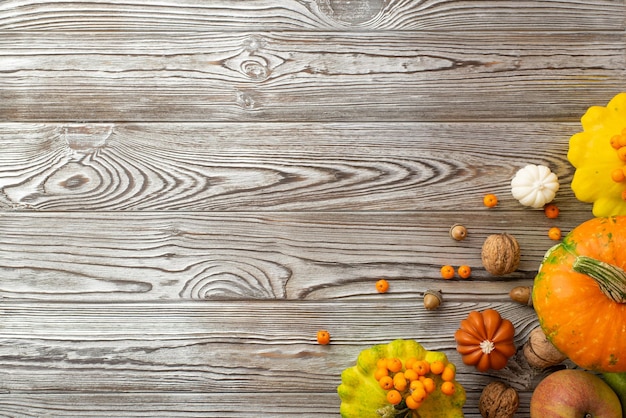 Herfst oogst concept bovenaanzicht foto van rauwe groenten pompoenen pattypans lijsterbessen appel walnoten en eikels op geïsoleerde grijze houten tafel achtergrond met copyspace