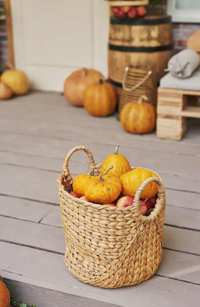 Herfst oogst terras achtergrond. Halloween. Land. Pompoenen en bloemen. Vakantie huis. Dankdag