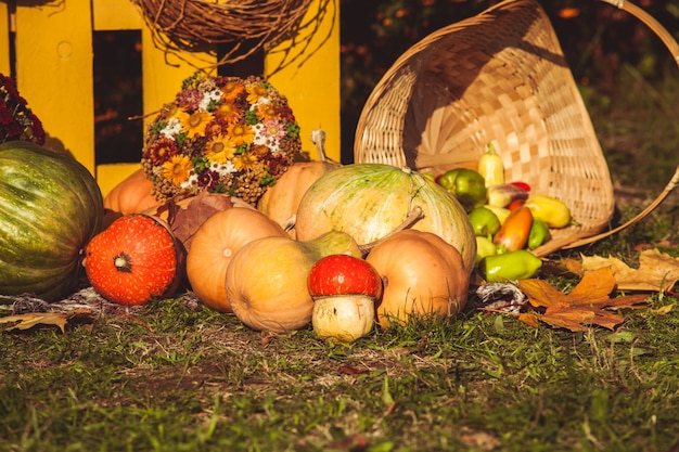 Herfst oogstfeest - mand met herfstfruit, oude koffer, pompoenen en kleurrijke herfstbloemen. Landschapsontwerp in de landelijke stijl voor het herfstseizoen.