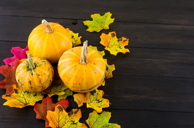 Herfst oppervlak met pompoenen, bladeren