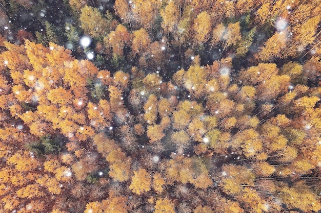 herfst panorama drone, landschap in de herfst natuur bovenaanzicht