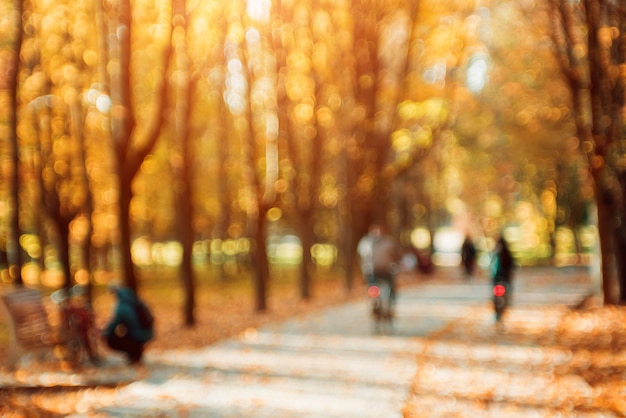 Herfst park. Heldere kleurrijke bokeh.