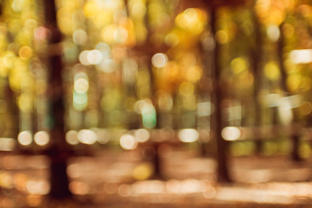 Herfst park. heldere kleurrijke bokeh.