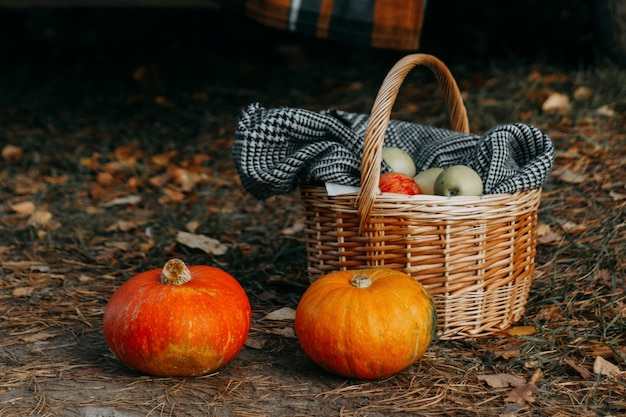 Herfst picknick. Mand met appels en pompoenen.