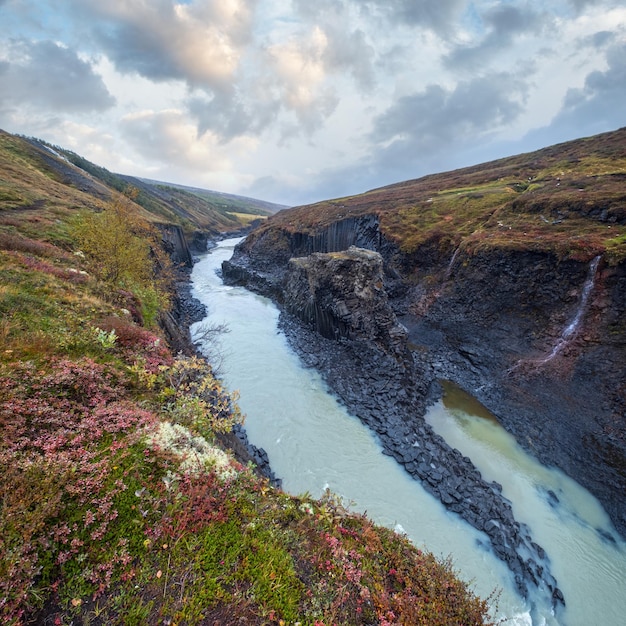 Herfst pittoreske Studlagil canyon is een ravijn in Jokuldalur Oost-IJsland Beroemde zuilvormige basalt rotsformaties en Jokla rivier stroomt er doorheen