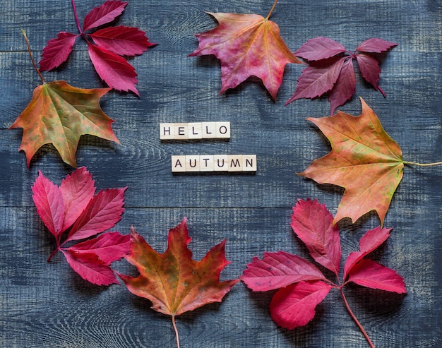 Herfst plat met veelkleurige gevallen bladeren en hallo herfst belettering