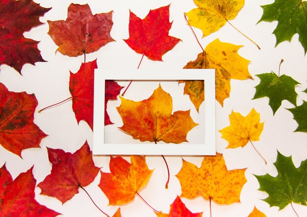 Herfst platte weergave op een witte achtergrond