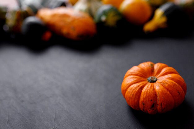 Herfst pompoen Thanksgiving achtergrond - oranje pompoenen over zwarte tafel