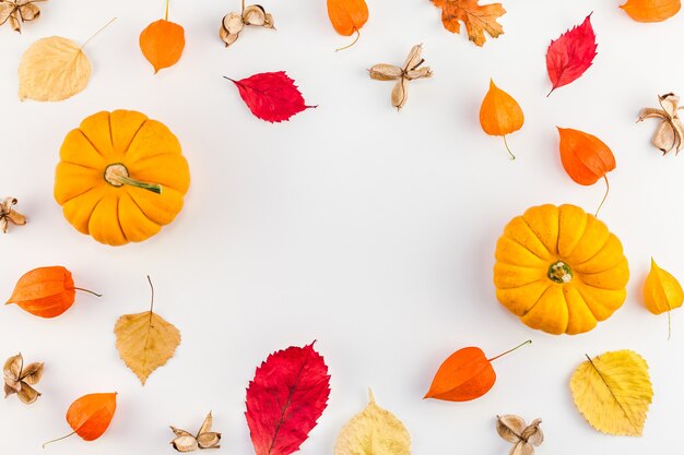 Herfst pompoenen, gedroogde oranje bloemen en bladeren