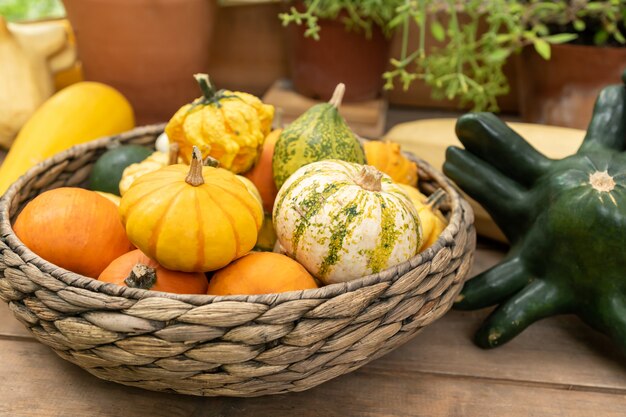 Herfst pompoenen in een mand