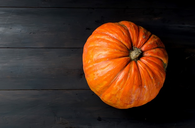 Herfst pompoenen op zwart