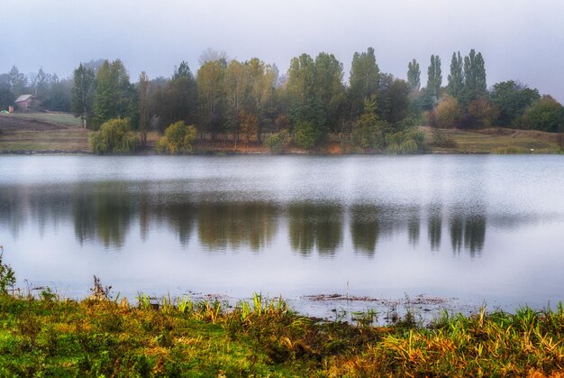 Herfst reflecties