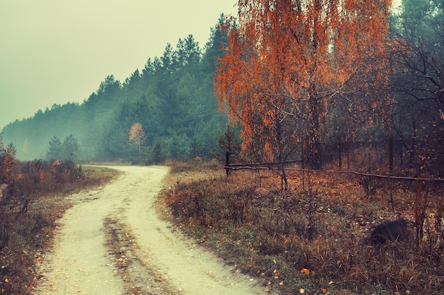 Herfst regenachtig landelijk landschap