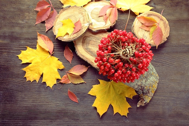 Herfst samenstelling bos van viburnum en kleurrijke bladeren op houten tafel