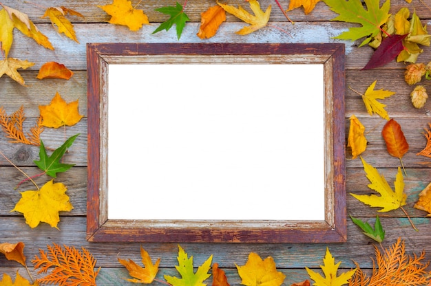 Herfst samenstelling, heldere herfst bladeren en foto frame op hout