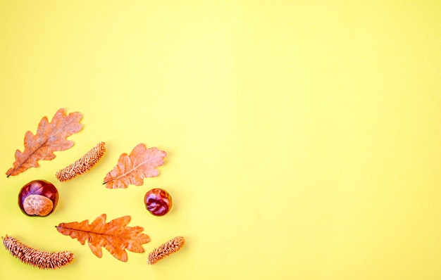 Foto herfst samenstelling. herfst, droge eikenbladeren, kastanjes, kegels op een geel. dankzegging. bovenaanzicht, copyspace