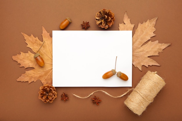 Herfst samenstelling. Herfstbladeren en maïs, dennenappel, anijs ster. Plat leggen, bovenaanzicht, kopie ruimte