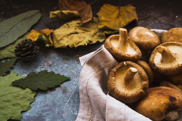 Foto herfst samenstelling met boletus en verdorde groene en gele bladeren