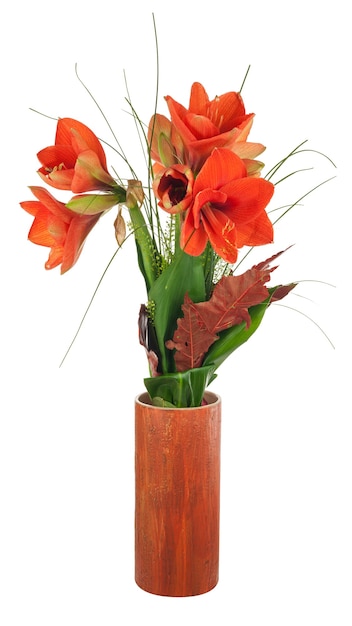 Herfst samenstelling van amaryllis bloemen in keramische vaas geïsoleerd