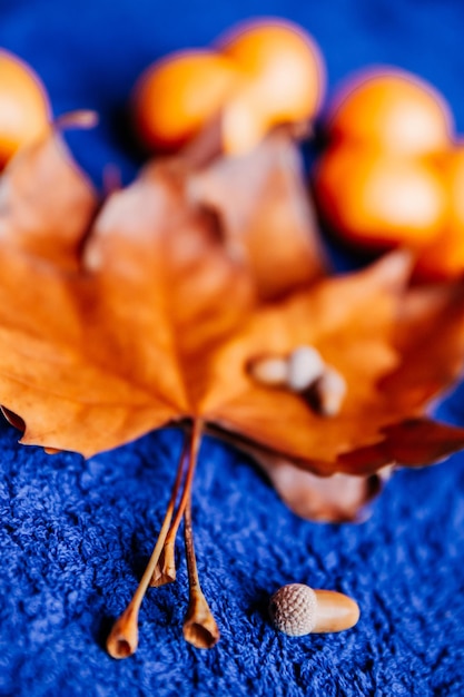 Herfst samenstelling van oranje bladeren mandarijn en eikels