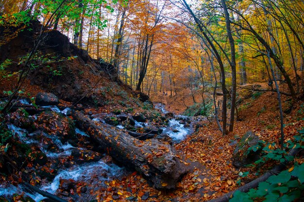 Herfst scène Zeven meren Bolu Turkije