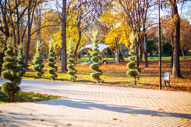 Herfst stadspark met mooie bomen en loopbruggen