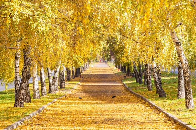 Herfst steegje