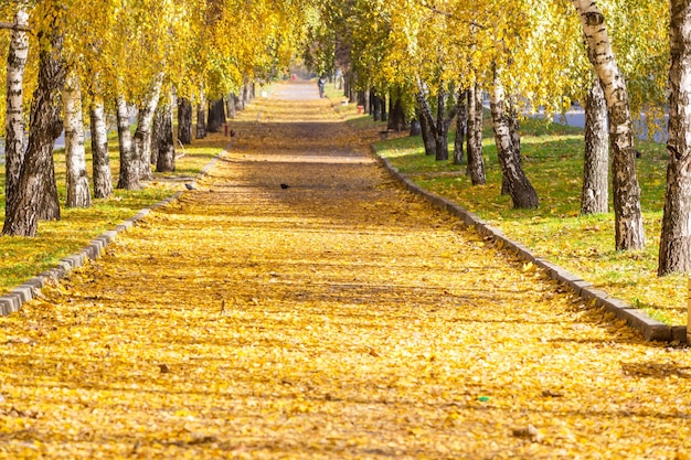 Herfst steegje