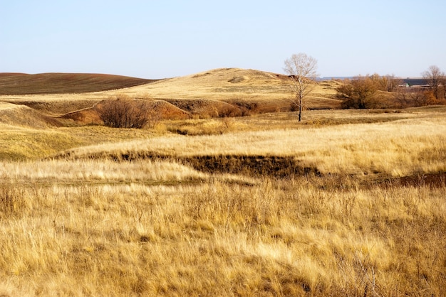 Foto herfst steppe, door de zon verschroeid