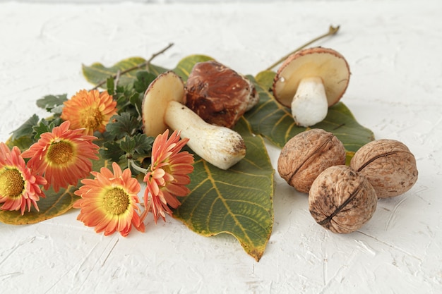 Herfst stilleven met paddenstoelen, groene bladeren en bloemen.