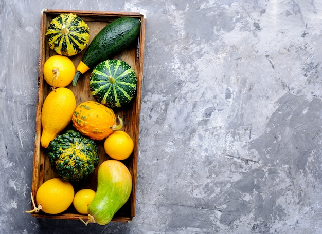 Herfst stilleven met pompoenen