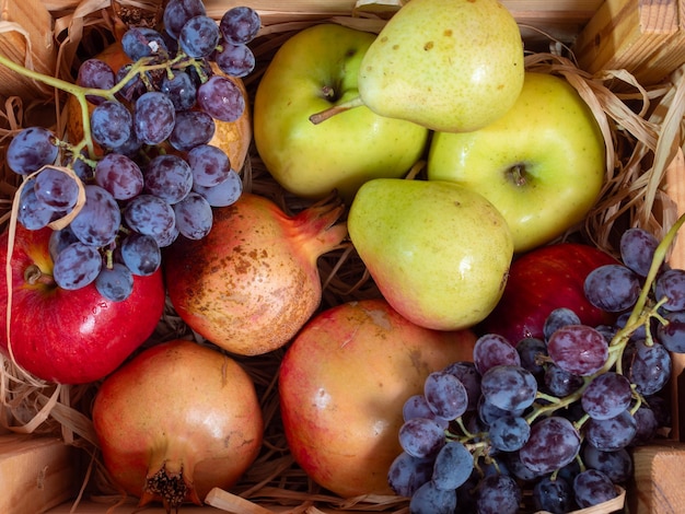 Herfst stilleven Verschillende vruchten, groenten en pompoen op de houten tafel