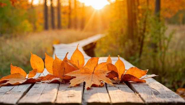 Herfst tafel sinaasappel bladeren en houten plank bij zonsondergang in het bos