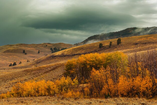 Herfst tafereel