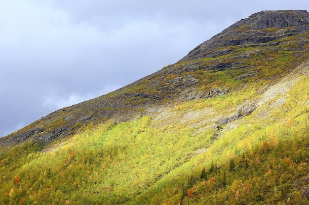 herfst taiga boslandschap, uitzicht op de natuur vallen in de bergen