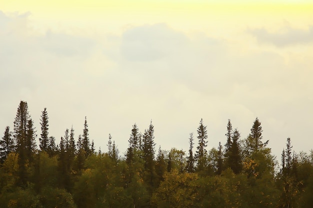 herfst taiga boslandschap, uitzicht op de natuur vallen in de bergen