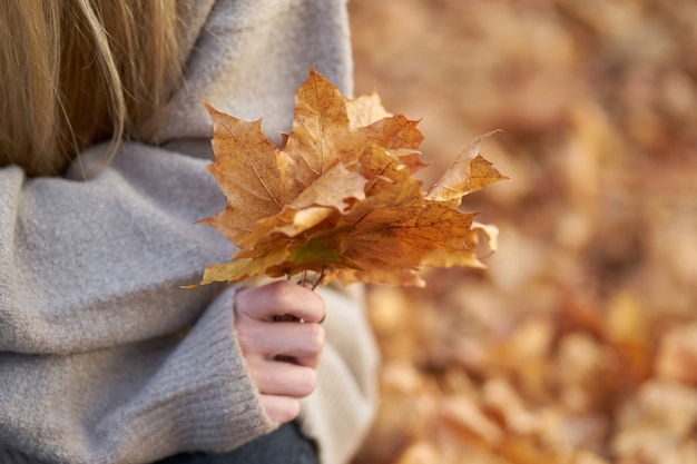 Herfst tijd. Blond meisje draagt trendy herfst trui met gele esdoorn bladeren in handen met kopie ruimte.