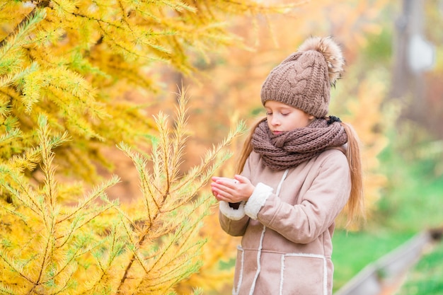 Herfst tijd. Klein kind in de herfst