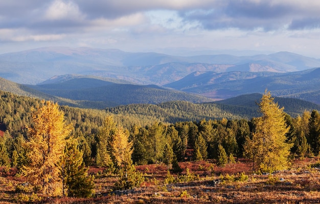 Herfst uitzicht berglandschap berg taiga