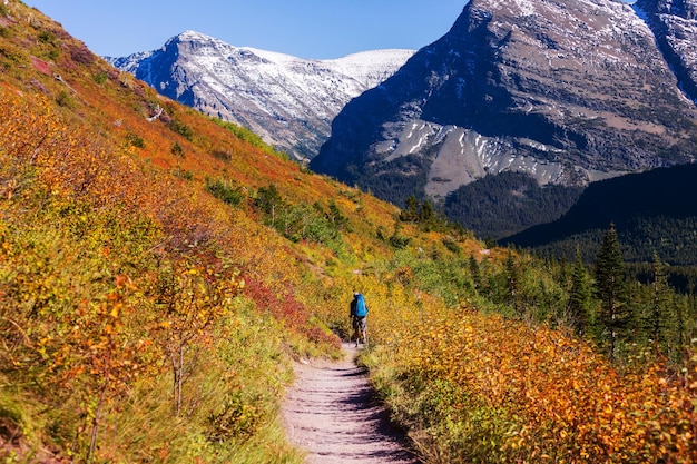 Herfst uitzicht in Glacier National Park, Montana, Verenigde Staten