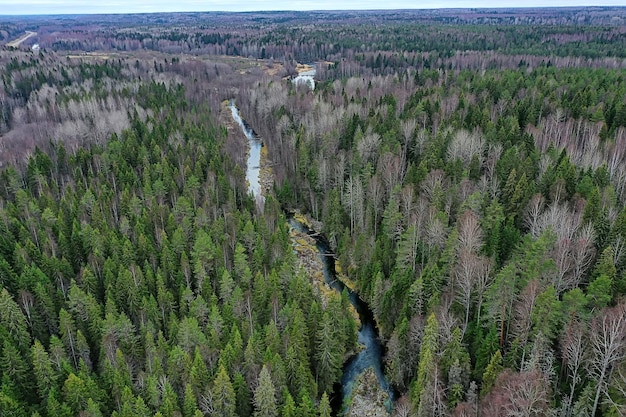 herfst uitzicht op de rivier vanuit drone bos, landschap panorama luchtfoto