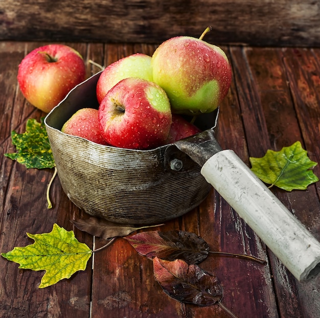 Herfst variëteiten van appels