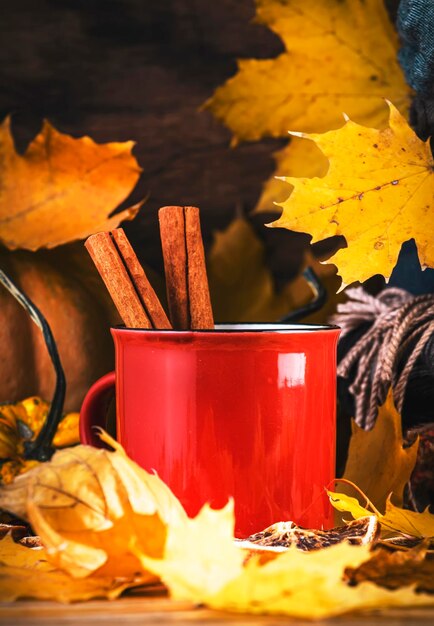 Herfst warme drank in rode kop op herfstachtergrond met pompoenen gevallen bladeren herfstkleding sjaals op rustieke houten tafel