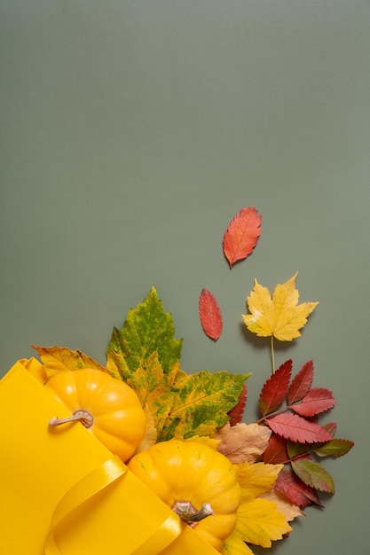 Herfst winkel- en verkoopconcept Samenstelling van gevallen herfstbladeren en een boodschappentas op een groene achtergrond