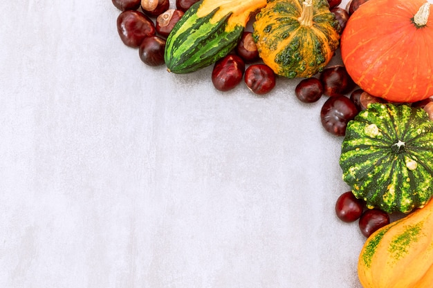 Herfst zijrand van verschillende decoratieve pompoenen en kastanjes op een grijze betonnen ondergrond